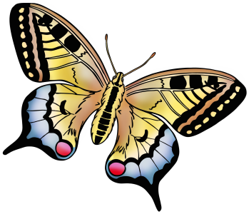 easter_swallowtail