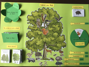 Ein Lapbook zum Thema Wald, das fertig gestaltet und aufgeklappt da liegt.