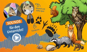 Dachsspuren und mehr verbergen sich in dieser grafischen Zusammenstellung des Materialpakets „Auf Spurensuche im Wald“.