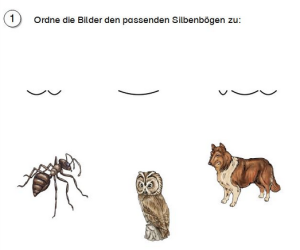 Eine Grafik, auf der Silbenbögen über drei Tier-Illustrationen abgebildet sind.